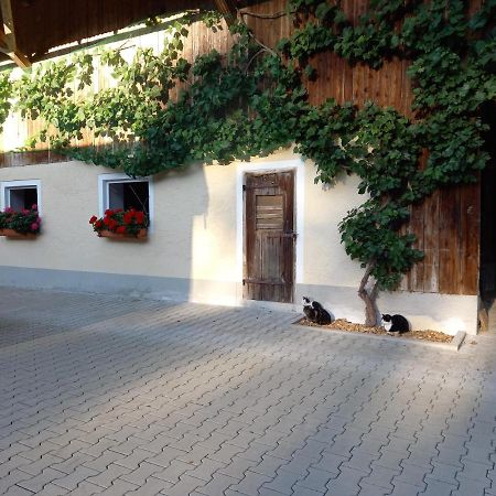 Landhof Ella - Ferienhaus Vor Den Toren Salzburgs Petting 外观 照片