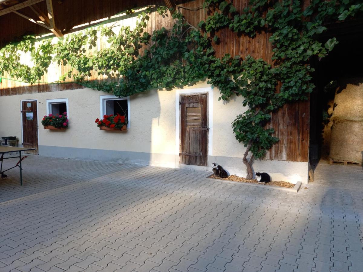 Landhof Ella - Ferienhaus Vor Den Toren Salzburgs Petting 外观 照片