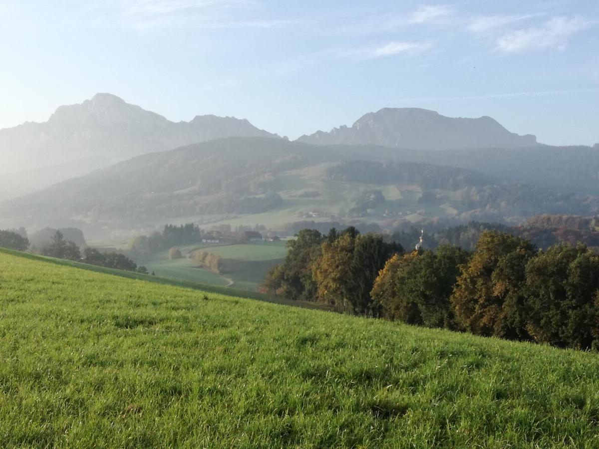 Landhof Ella - Ferienhaus Vor Den Toren Salzburgs Petting 外观 照片